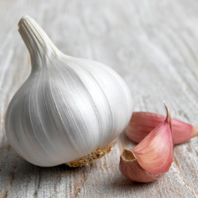 রসুন 