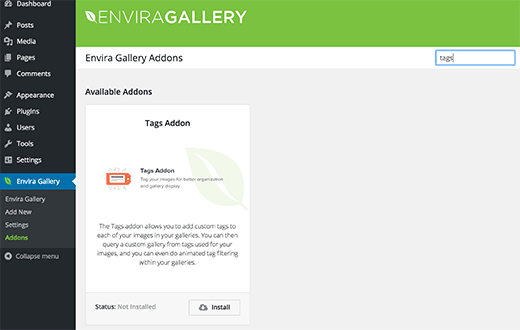 Envira গ্যালারি ট্যাগ যোগ addon 