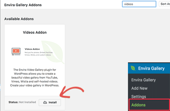 পরবর্তী, আপনি Envira গ্যালারী »Addons পৃষ্ঠা শিরোনাম প্রয়োজন।  আপনি ইনস্টল করার জন্য আপনার জন্য উপলব্ধ সমস্ত addons দেখতে পাবেন।  ভিডিও addon জন্য দেখুন এবং এটি ইনস্টল করুন। 
